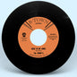 The Ebonys: Back In My Arms B/w I Can't Help But Love You - 7-INCH SINGLE