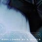 STS: Swallowed By A Whale - 12-INCH SINGLE