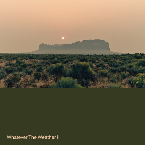 Whatever the Weather: Whatever the Weather II - Green - VINYL