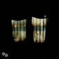 Divide and Dissolve: Insatiable - CD