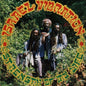 Israel Vibration - Strength of My Life - VINYL