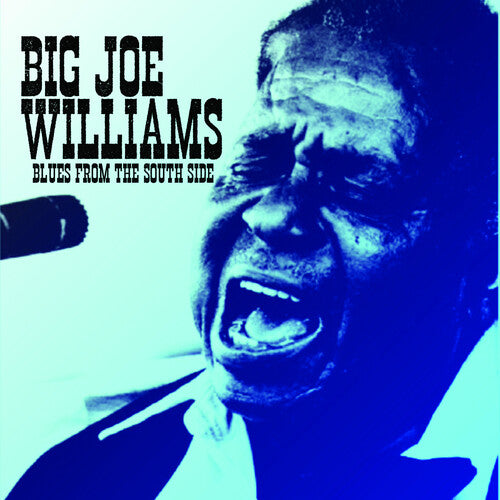 Big Joe Williams: Blues from the South Side - CD