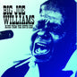 Big Joe Williams: Blues from the South Side - CD