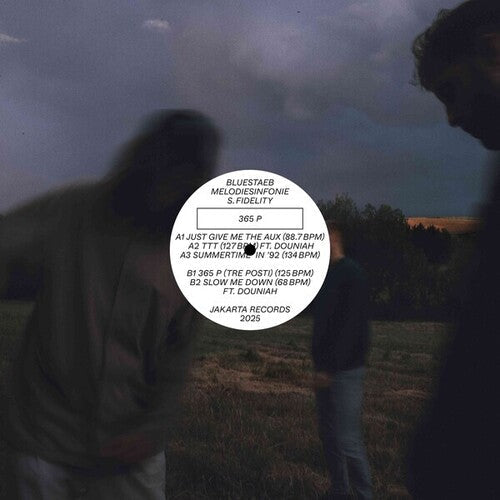 Bluestaeb: 365 P - VINYL