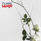 Flook: Sanju - CD