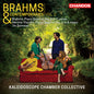 Markiyan Melnychenko: Brahms & Contemporaries, Vol. 2 - CD