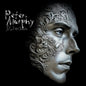 Peter Murphy - Silver Shade - VINYL