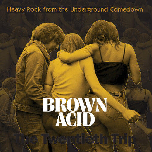 Various Artists - Brown Acid: The Twentieth Trip - VINYL
