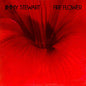 Jimmy Stewart: Fire Flower - CD