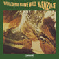 Billy Nicholls - Would You Believe - VINYL