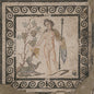 Asm: The Frenzy of Bacchus - CD