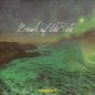 Lil Smokies: Break Of The Tide - CD