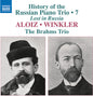 Brahms Trio: History of the Russian Piano Trio, Vol. 7 - Aloiz & Winkler - CD