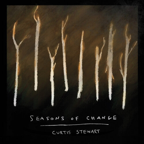 Curtis J Stewart: Seasons Of Change - CD