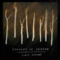 Curtis J Stewart: Seasons Of Change - CD