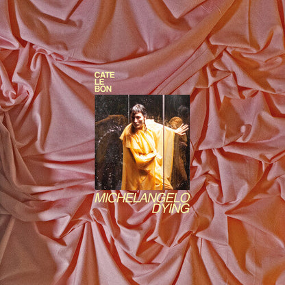 Cate Le Bon - Michelangelo Dying - Indie LP
