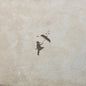 Lydia: Illuminate (She Saved Me) - Milky Clear - VINYL