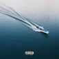 Larry June, 2 Chainz, The Alchemist - Life Is Beautiful - VINYL