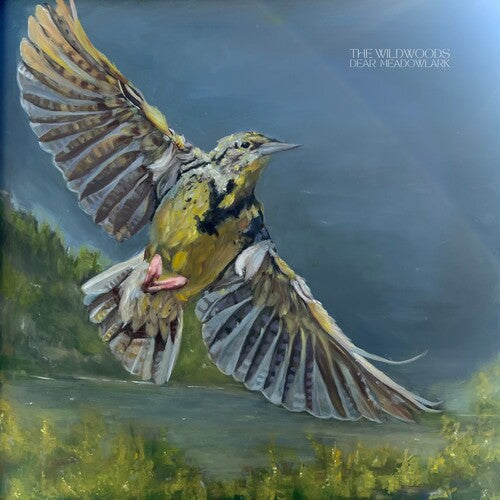 The Wildwoods: Dear Meadowlark - CD