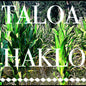 John Depriest: Taloa Haklo - CD