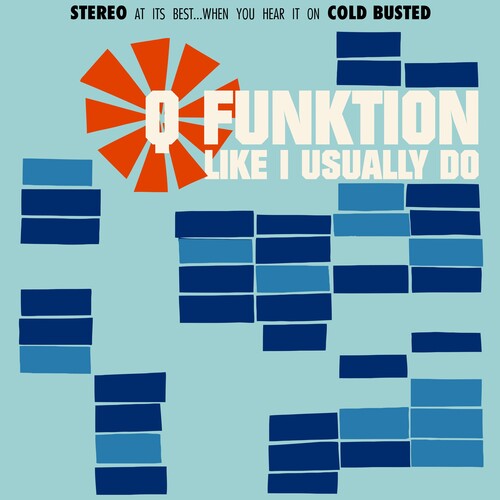 Q Funktion: Q Funktion - Like I Usually Do - VINYL
