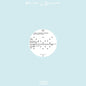 Shinichi Atobe: A.Whispers Into The Void : AA.Fleeting_637 - 12-INCH SINGLE