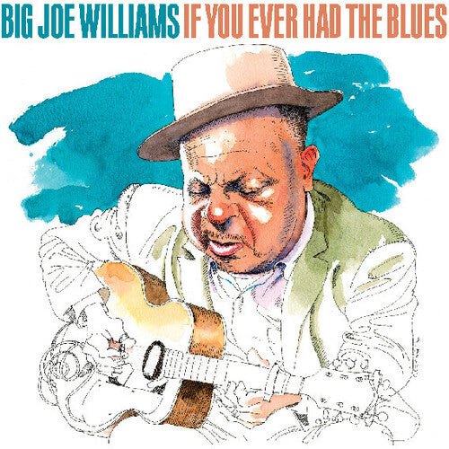 Big Joe Williams: If You Ever Had The Blues - CD