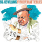 Big Joe Williams: If You Ever Had The Blues - CD