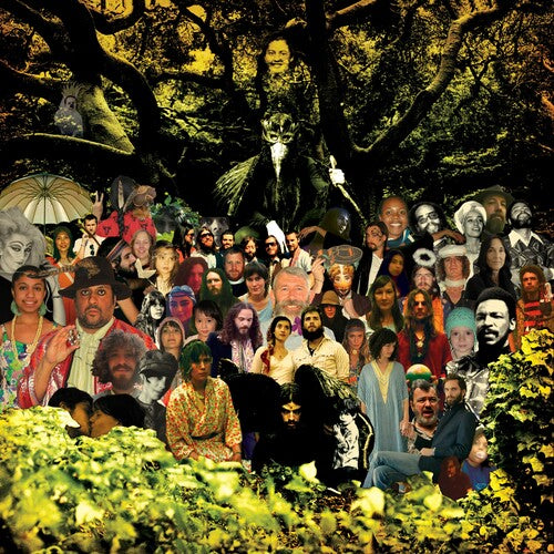Devendra Banhart: Cripple Crow (20th Anniversary Deluxe) - Black/Green - VINYL