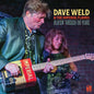 Dave Weld: Bluesin' Through the Years - VINYL