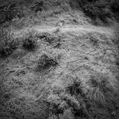 Anna Tivel: Animal Poem - VINYL