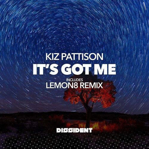 Kiz Pattison: It's Got Me - CD