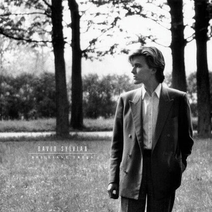 David Sylvian - Brilliant Trees - VINYL
