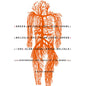 Gregg Belisle-Chi: Slow Crawl: Performing the Music of Tim Berne - CD