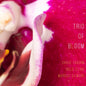 Trio of Bloom: Trio Of Bloom - CD