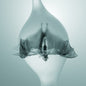 Unprocessed: Angel - CD