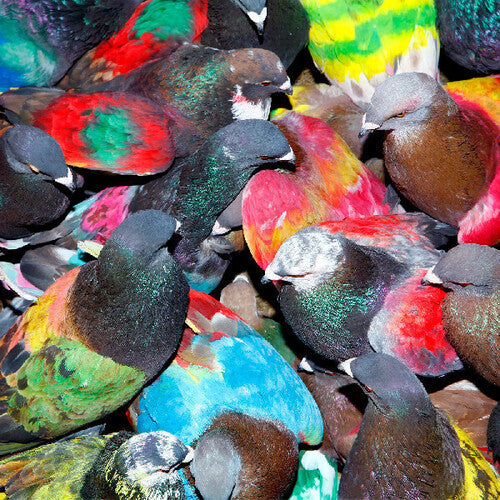 Blawan: Sickelixir - CD
