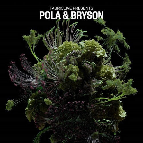 Pola & Bryson: FABRICLIVE presents Pola & Bryson - VINYL