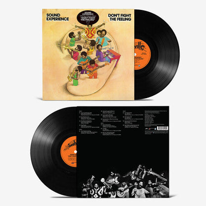 Sound Experience - Don't Fight the Feeling - VINYL