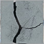 Simon Popp: Trio - CD