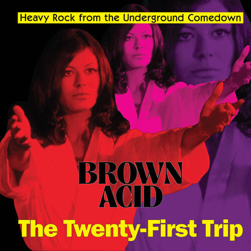 Various Artists - Brown Acid: The Twenty-First Trip - VINYL
