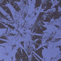Plants Heal: Forest Dwellers - VINYL