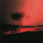Joji - Piss In The Wind - VINYL