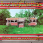 Daryl Hall & John Oates - Abandoned Luncheonette - VINYL