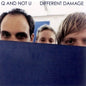 Q and Not U: Different Damage - VINYL