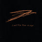 Andrew Bird: I Want To See Pulaski At Night - CD
