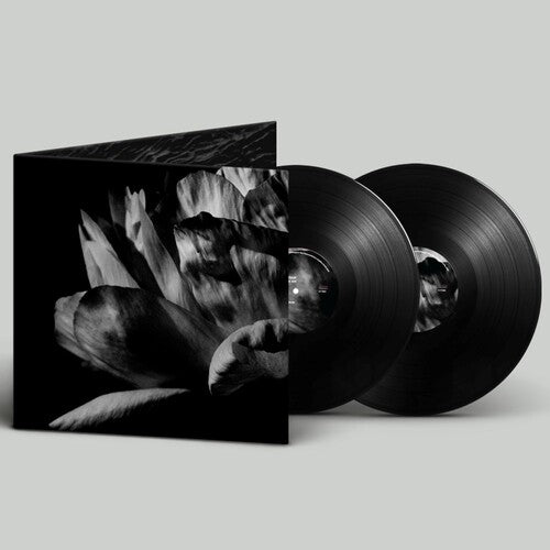 Louise Roam: La Ou Passe La Nuit - VINYL