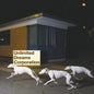 Brigade: Unlimited Dreams Corporation - VINYL