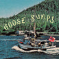 Boyscott: Goose Bumps (BLUE MARBLE VINYL) - VINYL