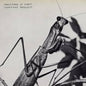 Courtney Barnett: Creature Of Habit - SHM - CD